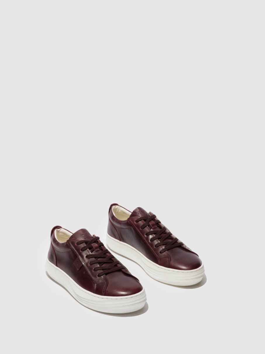 Mulher Fly London Tenis | Tenis Com Atacadores Cive424Fly Rug Wine