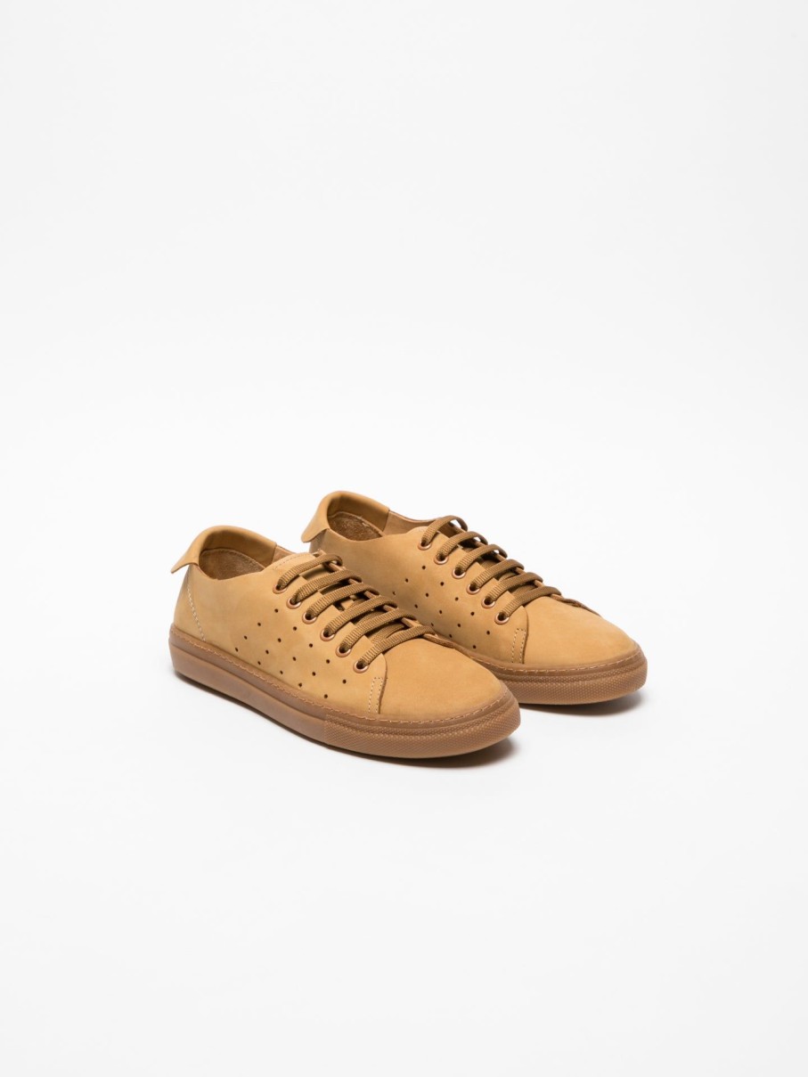 Mulher Darkwood Tenis | Tenis Com Atacadores Em Camel